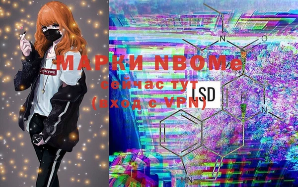 индика Нягань