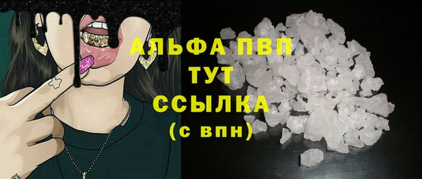 индика Нягань