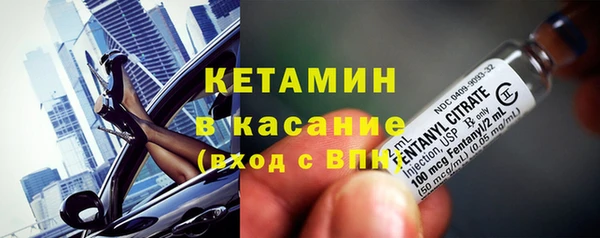 индика Нягань