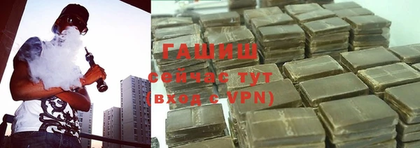 индика Нягань