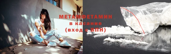 индика Нягань