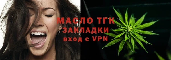 индика Нягань