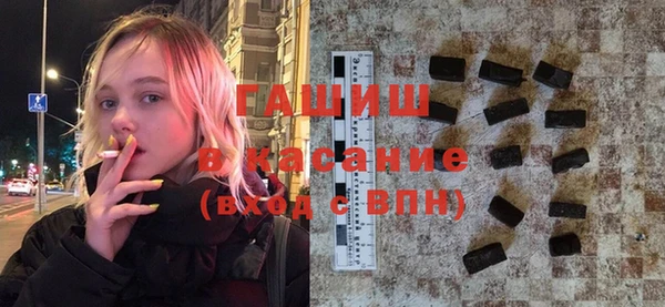 индика Нягань