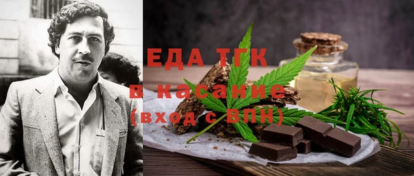 индика Нягань