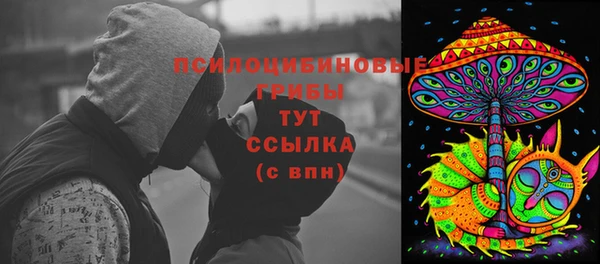 индика Нягань