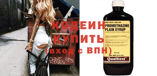 индика Нягань