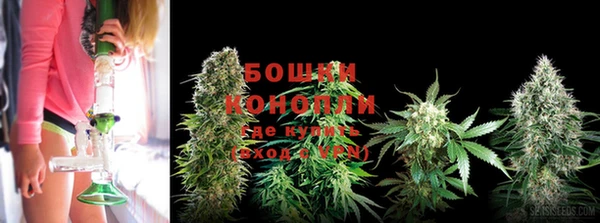 ECSTASY Нязепетровск