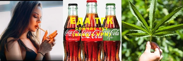 индика Новодвинск